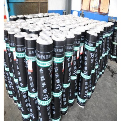 China Supplier Sbs App Bitumen Waterproof Membrane For Roofing