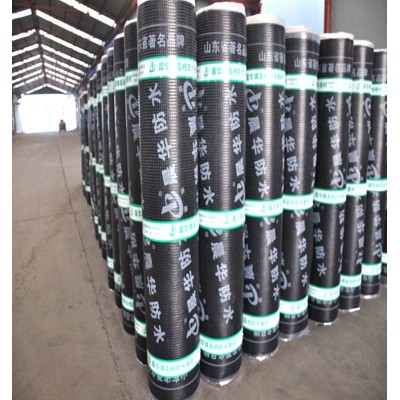 China Supplier 4mm Sbs Waterproof Bituminous Roofing Membrane